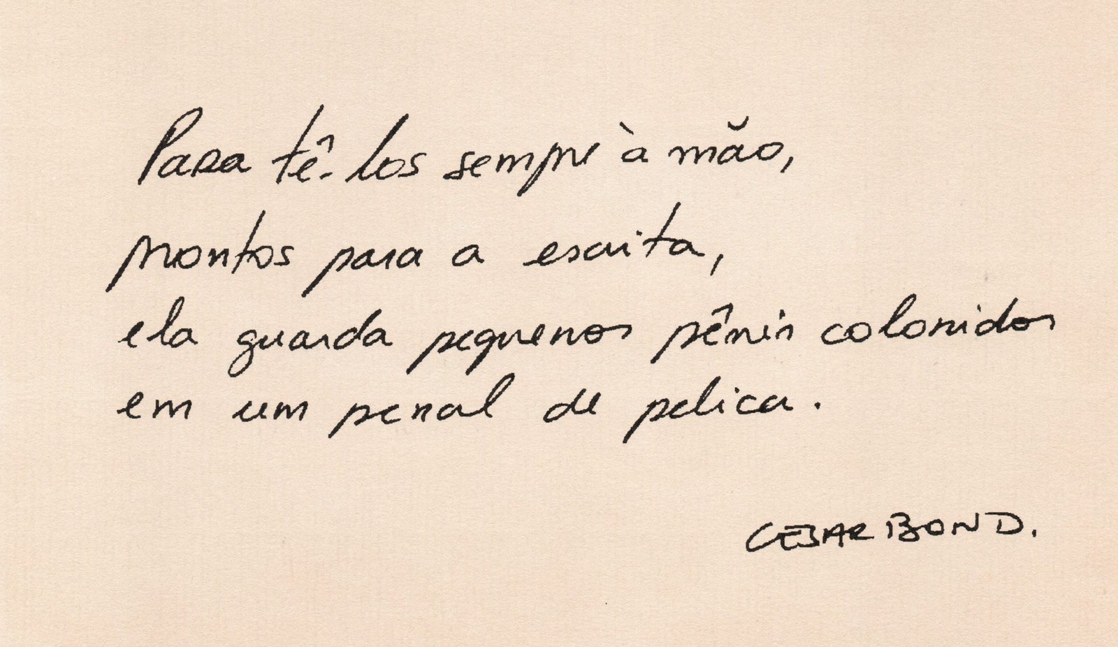 Cesar Bond Poema para Marise Manoel. Inédito.